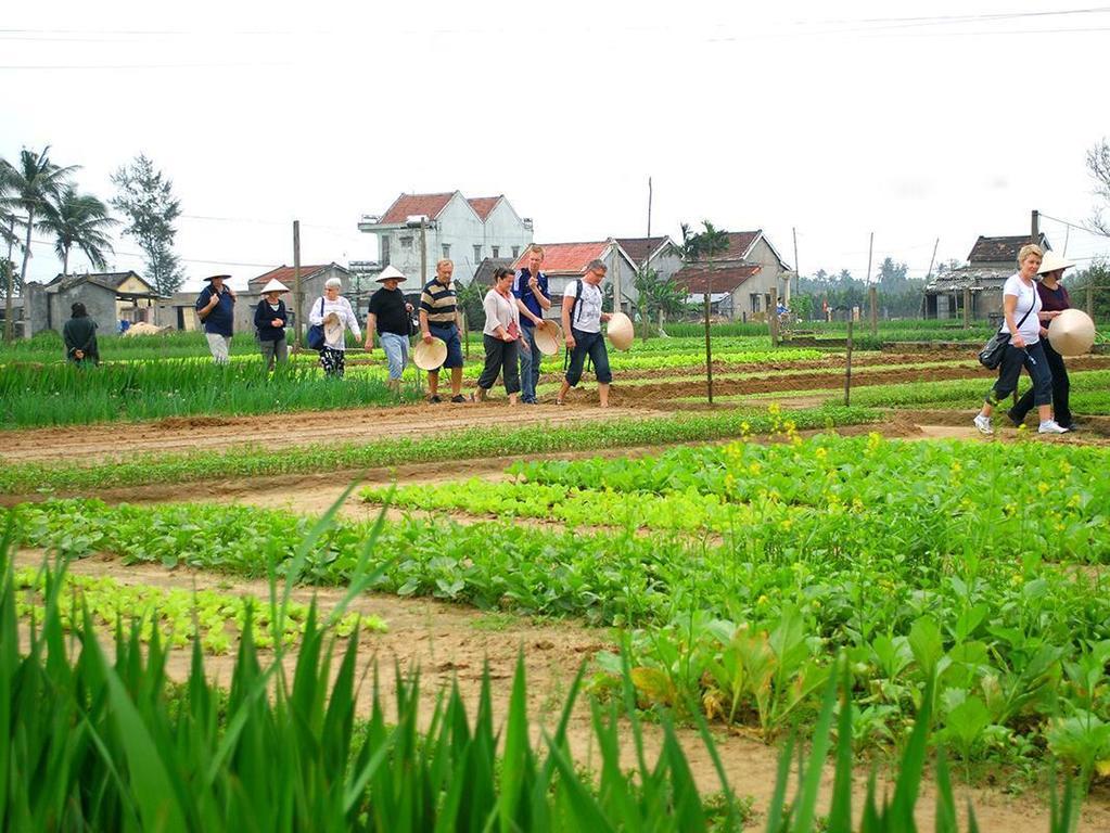 Green House Homestay Хой Ан Екстериор снимка