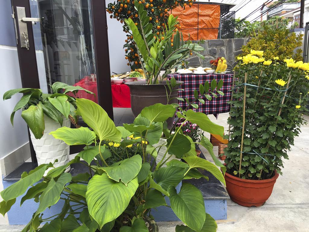 Green House Homestay Хой Ан Екстериор снимка